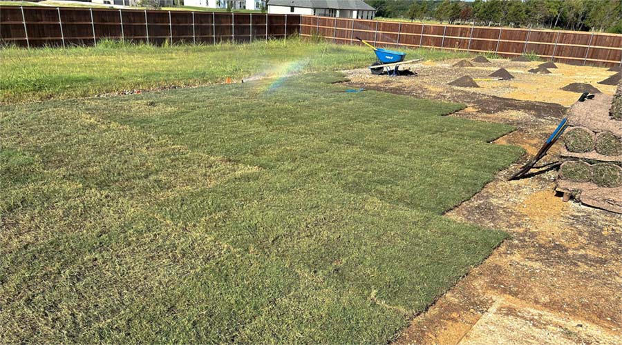 sod installation company