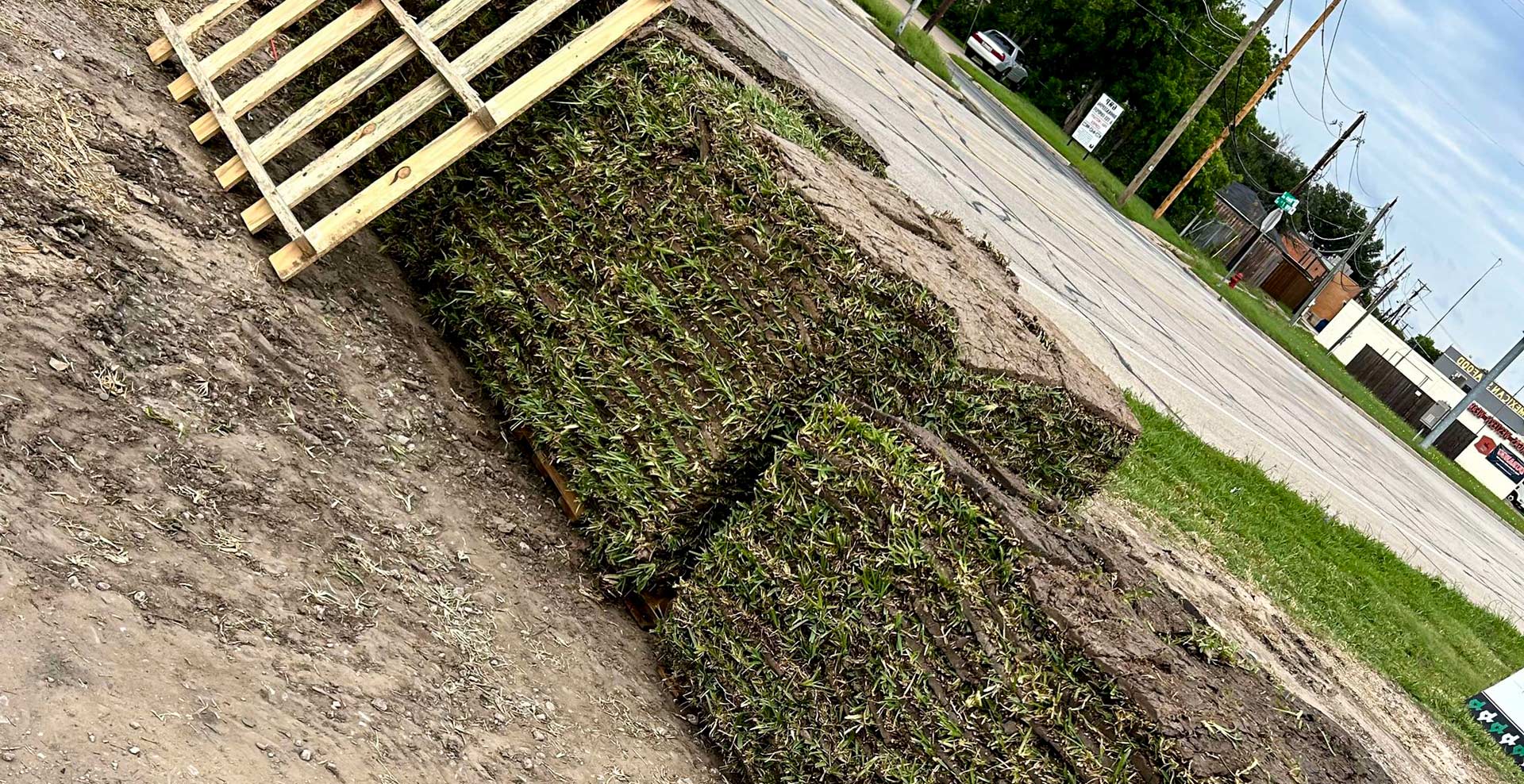Buffalo Sod Installation in Mansfield