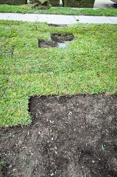 Commercial Sod Installation in Mansfield Texas