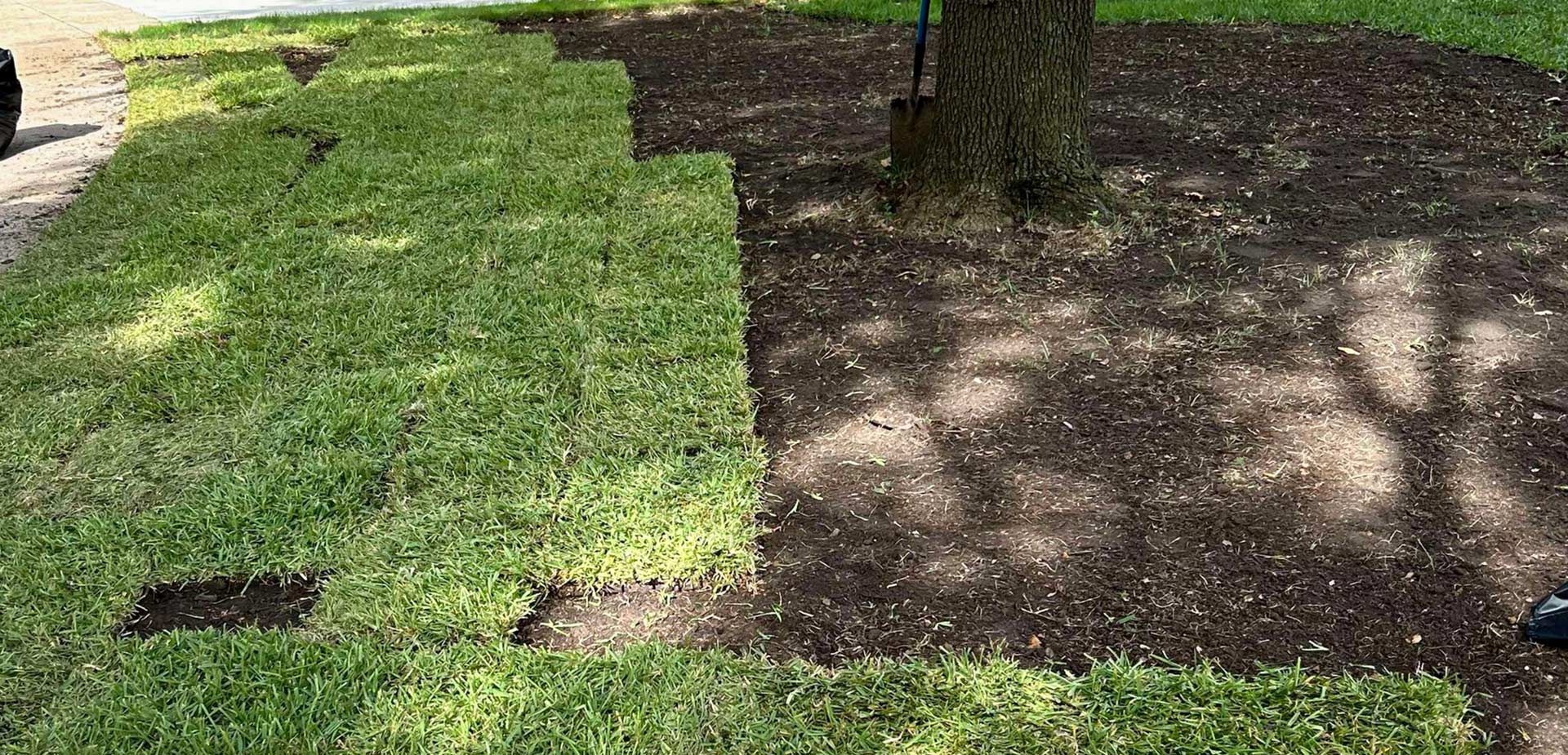 Commercial Sod Installation in Mansfield