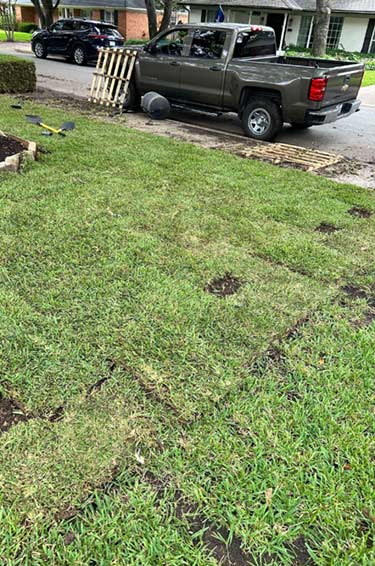 Fescue Sod Installation in Mansfield