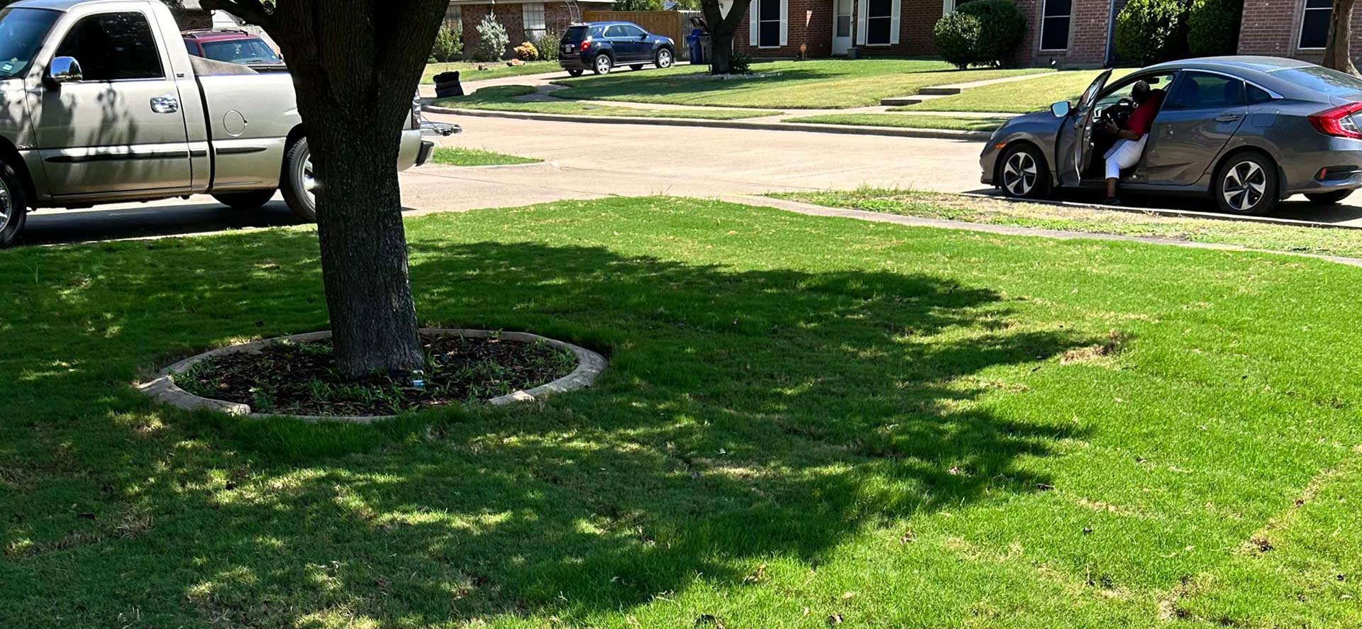 Fescue Sod Installation in Mansfield
