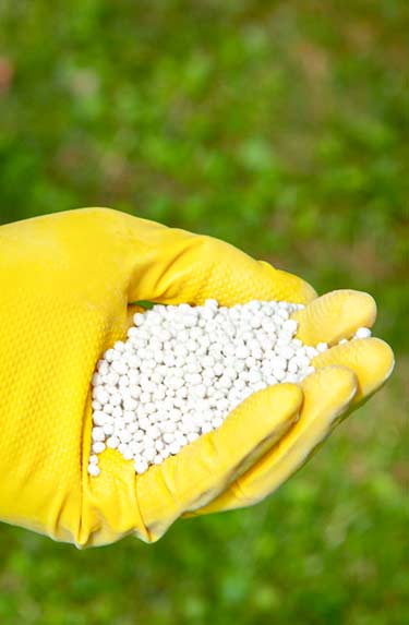 Lawn Fertilization in Mansfield