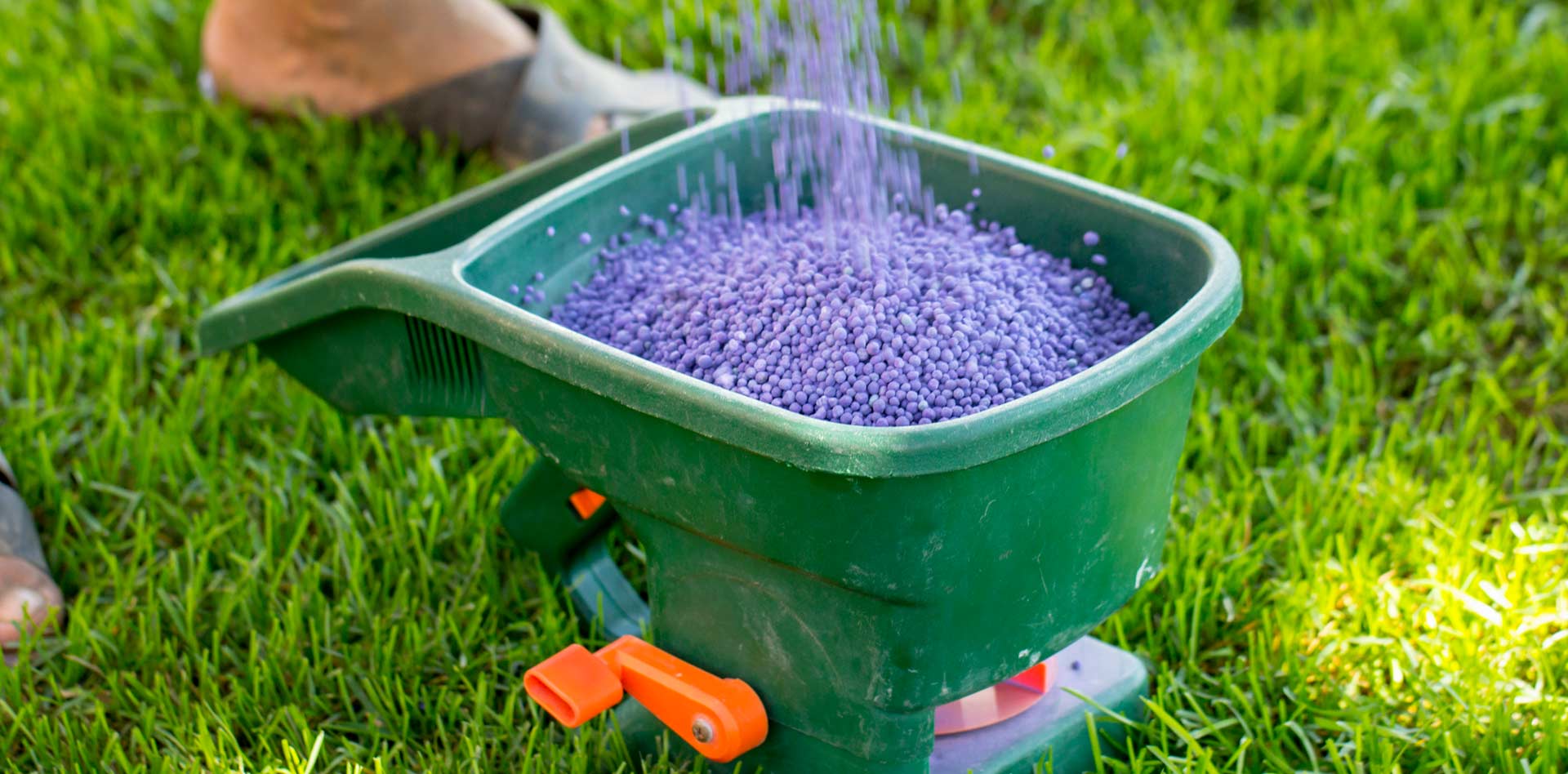 Lawn Fertilization in Mansfield, TX