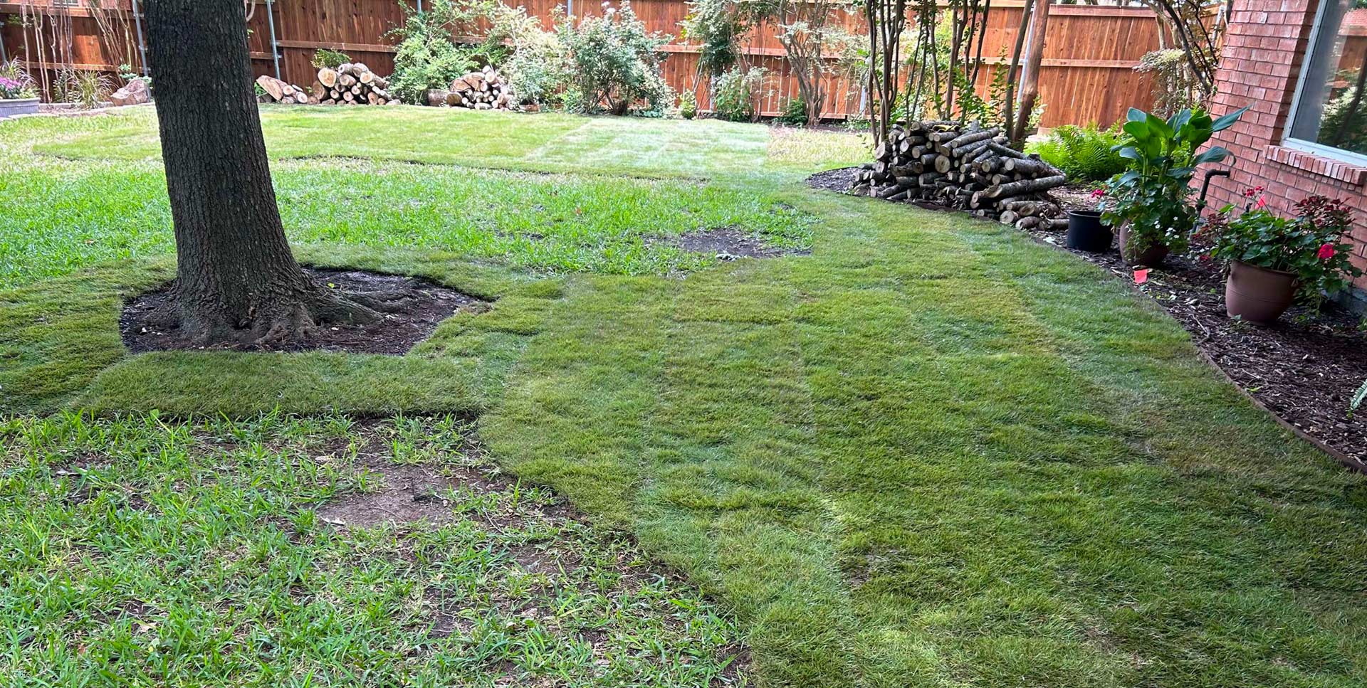 Overseeding Service in Mansfield