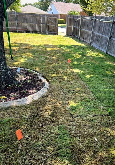 St. Augustine Grass Installation in Mansfield Texas