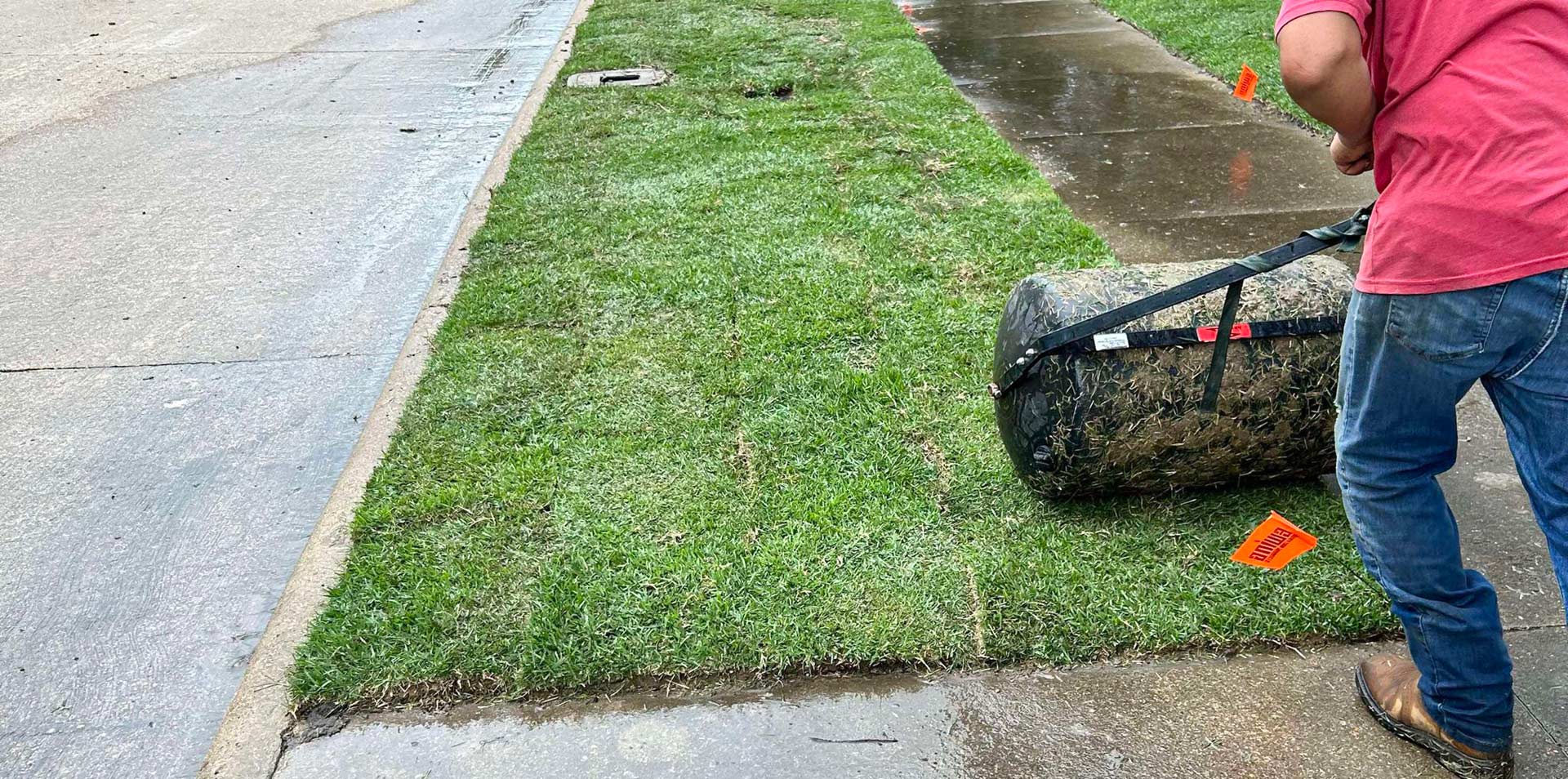 Zoysia Sod Installation in Mansfield