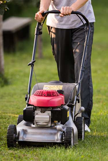 lawn mowing in Mansfield
