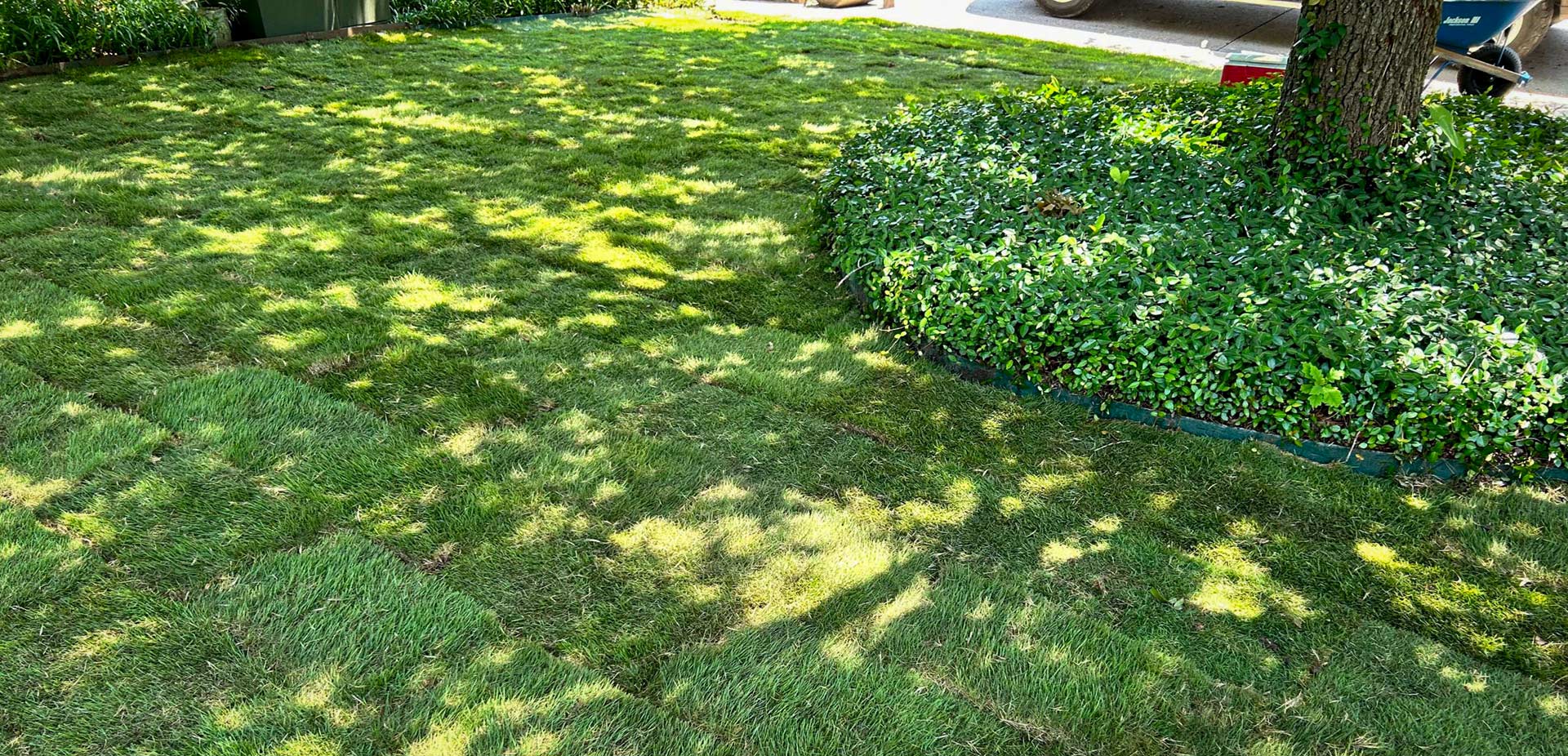 sod removal Mansfield