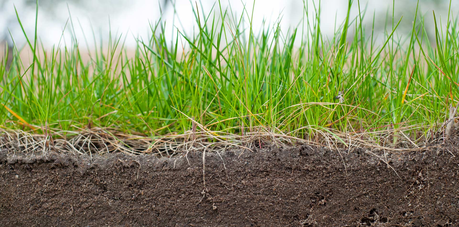 soil amendments in Mansfield, TX