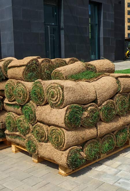 Dallas Sod Installation Company