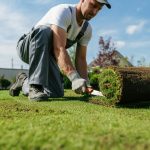 How to Overseed a Lawn