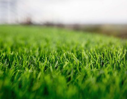 Can You Install Sod During a Stage 2 Water Restriction in Dallas