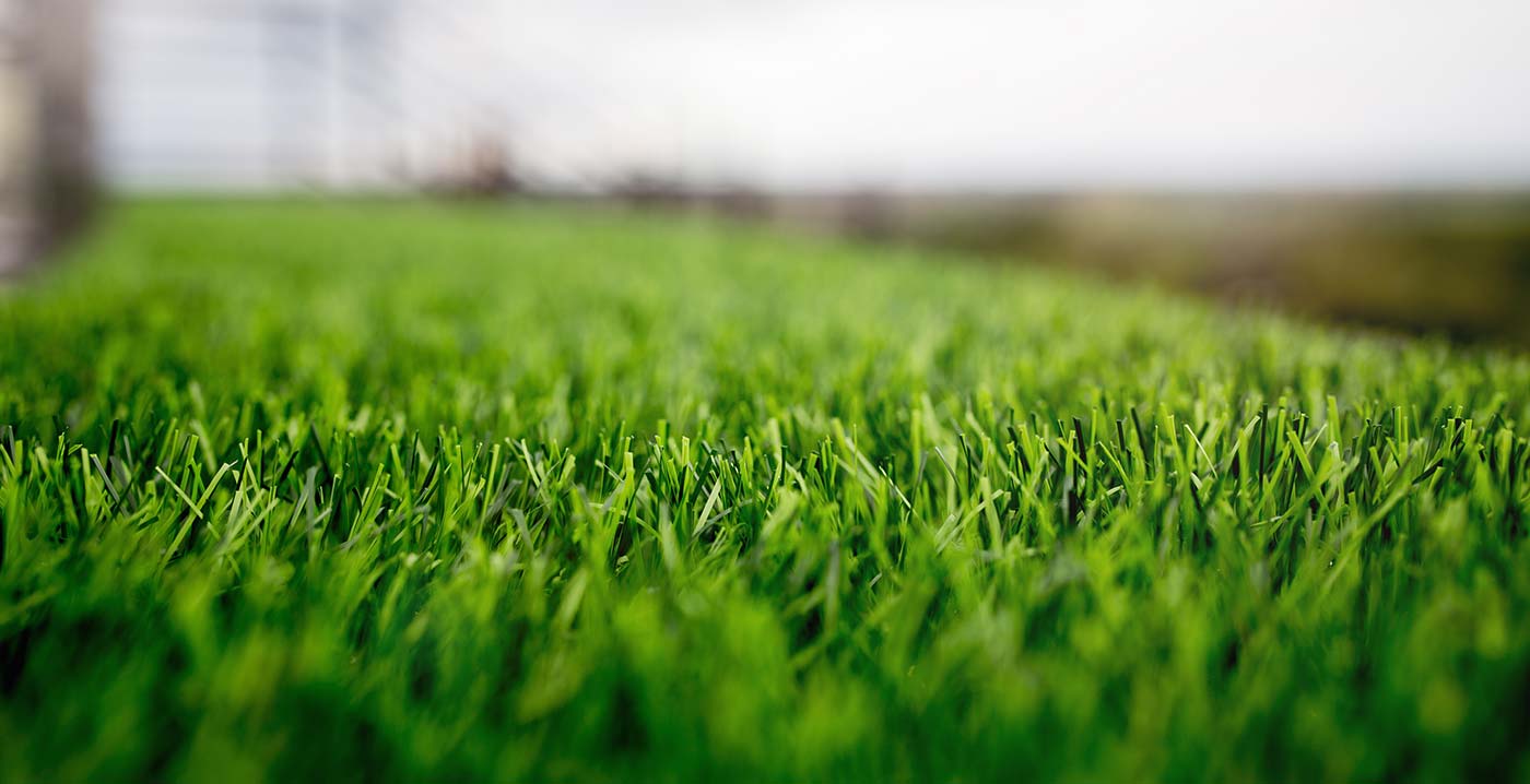 Can You Install Sod During a Stage 2 Water Restriction in Dallas