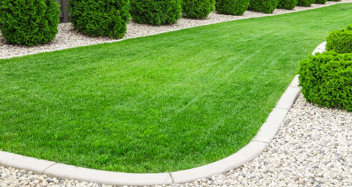 Fescue Grass vs. Crabgrass: A Comprehensive Lawn Comparison