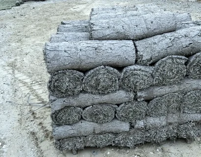 How To Mow Your Lawn The Right Way