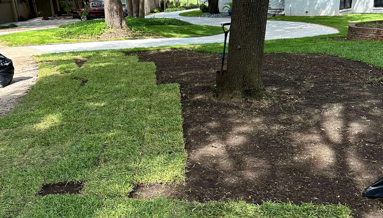 Artificial Turf vs Real Grass Sod: Which Is Better for Texas Yards?